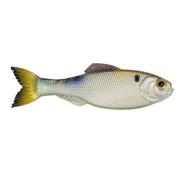 Buy 4k-shad 6TH SENSE PANORAMA