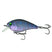 BlackLight Craw