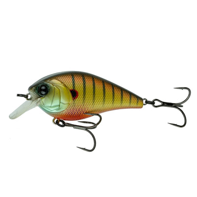 Buy spring-bluegill 6TH SENSE CRUSH 100X SERIES