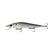 Threadfin Shad
