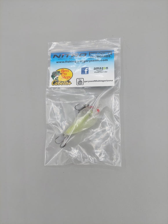 FISHING WITH GARY SENFT LURES