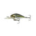 Chrome Threadfin