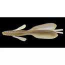 NORIES ESCAPE TWIN-5