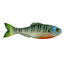 6TH SENSE PANORAMA-15