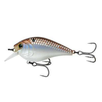 Buy 4k-gizzard-w-scales 6TH SENSE CRUSH 100X SERIES