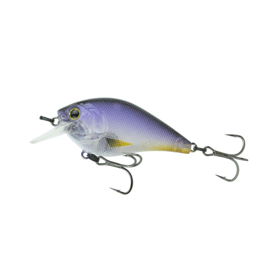 Guida's Sexy Shad  Copperstate Tackle
