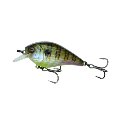 Buy bluegill-magic 6TH SENSE CRUSH 50