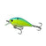Blue-Treuse Shad