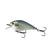 Chrome-Treuse Shad