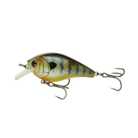 Buy native-bluegill 6TH SENSE CRUSH 50X SQUAREBILL CRANKS