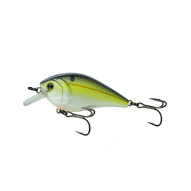 Buy sexified-chart-shad 6TH SENSE CRUSH 50X SQUAREBILL CRANKS
