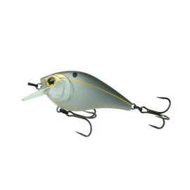 Buy threadfin-shad 6TH SENSE CRUSH 50X SQUAREBILL CRANKS