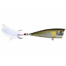 Lobina Lures Rico - Copperstate Tackle