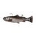 SAVAGE GEAR PULSETAIL TROUT RTF - 8 Copperstate Tackle