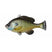 SAVAGE GEAR 3D PULSE TAIL BLUEGILL LINE THRU - Copperstate Tackle