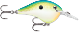 Buy citrus-shad RAPALA DT SERIES CRANKBAITS / DT8 - DT10