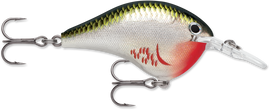 Buy bleeding-olive-shiner RAPALA DT SERIES CRANKBAITS / DT8 - DT10
