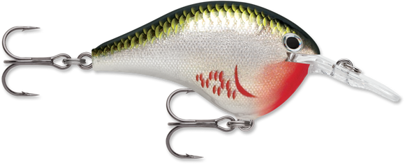 RAPALA DT SERIES CRANKBAITS / DT8 - DT10
