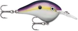 Buy big-shad RAPALA DT SERIES CRANKBAITS / DT8 - DT10