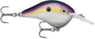 Buy big-shad RAPALA DT SERIES CRANKBAITS DT4-12