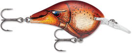 Buy blaze RAPALA DT SERIES CRANKBAITS / DT8 - DT10