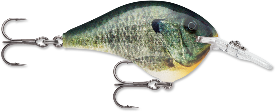 Rapala DT-16 Crankbait - Dives To 16ft, 2-3/4", 3/4 Oz (Regular & Ike's Models, Choose Color) Rapala Dt Series Rapala DT-16 Crankbait - Dives To 16ft, 2-3/4", 3/4 Oz (Regular & Ike's Models, Choose Color) Rapala Dt Series