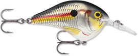 Buy shad RAPALA DT SERIES CRANKBAITS / DT8 - DT10