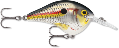 Buy shad RAPALA DT SERIES CRANKBAITS DT4-12