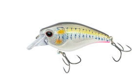 Buy threadfin-shad NOMAD DESIGN ATLAS 55 SQUAREBILL CRANKBAIT