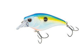 Buy sexy-shad NOMAD DESIGN ATLAS 70 SQUAREBILL CRANKBAIT