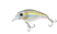 Threadfin Shad