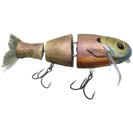 Buy gill TRITON MIKE BUCCA BULL SHAD WAKEBAIT