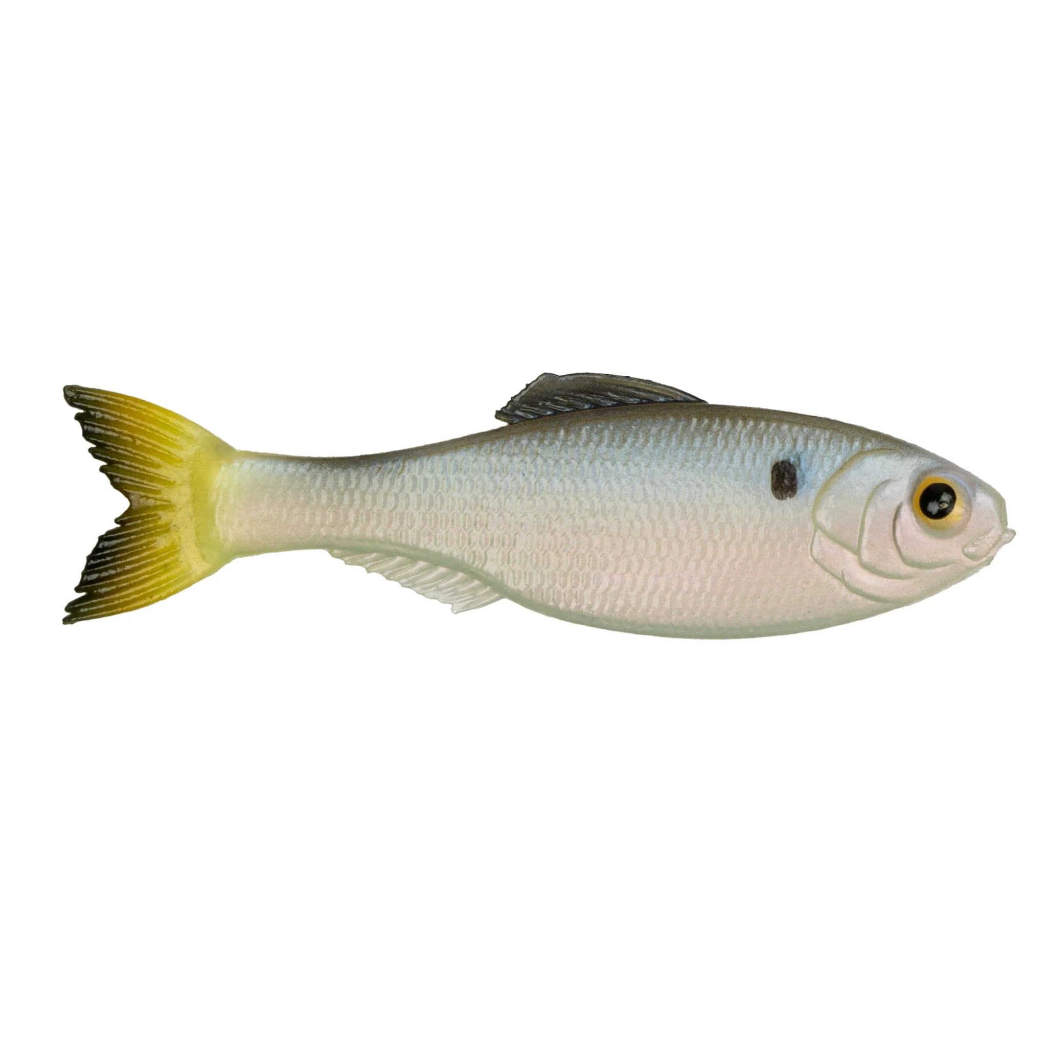 Buy clearwater-shad 6TH SENSE PANORAMA