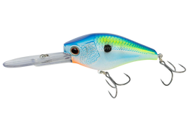 Buy citrus-shad NOMAD DESIGN D- TRAK 80 CRANKBAIT