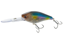 Buy natural-shad NOMAD DESIGN D- TRAK 80 CRANKBAIT