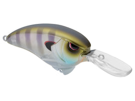 Buy rainbow-gill SPRO OUTSIDER CRANK MR 60 CRANKBAIT