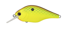 Buy citrus-chart EVERGREEN ZR-4 CRANKBAITS