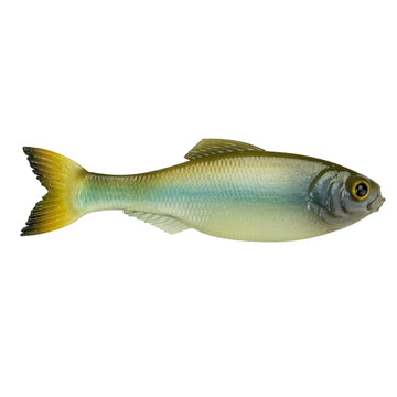 Buy ghost-minnow 6TH SENSE PANORAMA