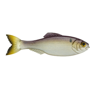 Buy gizzard-gold 6TH SENSE PANORAMA