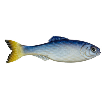 Buy glass-minnow 6TH SENSE PANORAMA