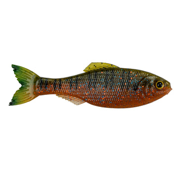 Buy live-bream 6TH SENSE PANORAMA