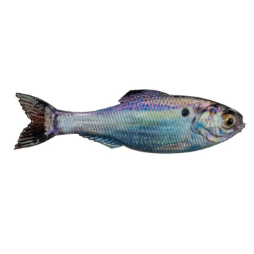 Buy live-gizzard-shad 6TH SENSE PANORAMA