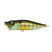Megabass Pop-X - Copperstate Tackle