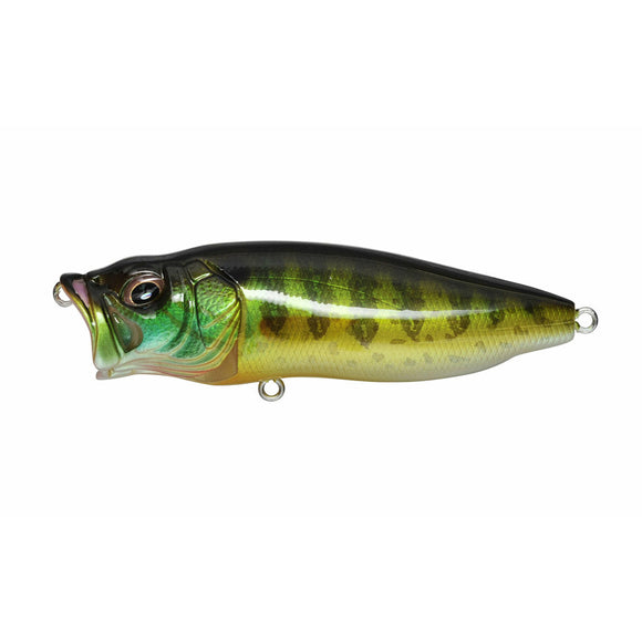 Megabass Popmax - Copperstate Tackle