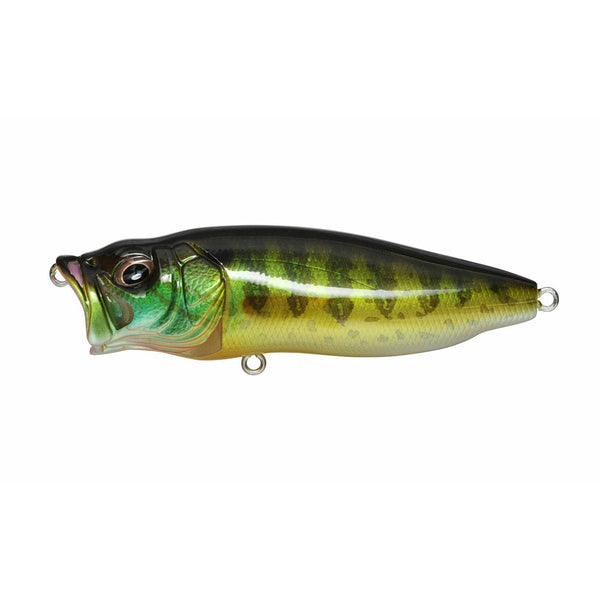 MEGABASS POPMAX | Copperstate Tackle
