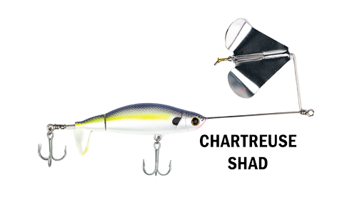 G-RATT BAITS PROPER BUZZ