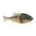 BERKLEY POWERBAIT GILLY - Copperstate Tackle