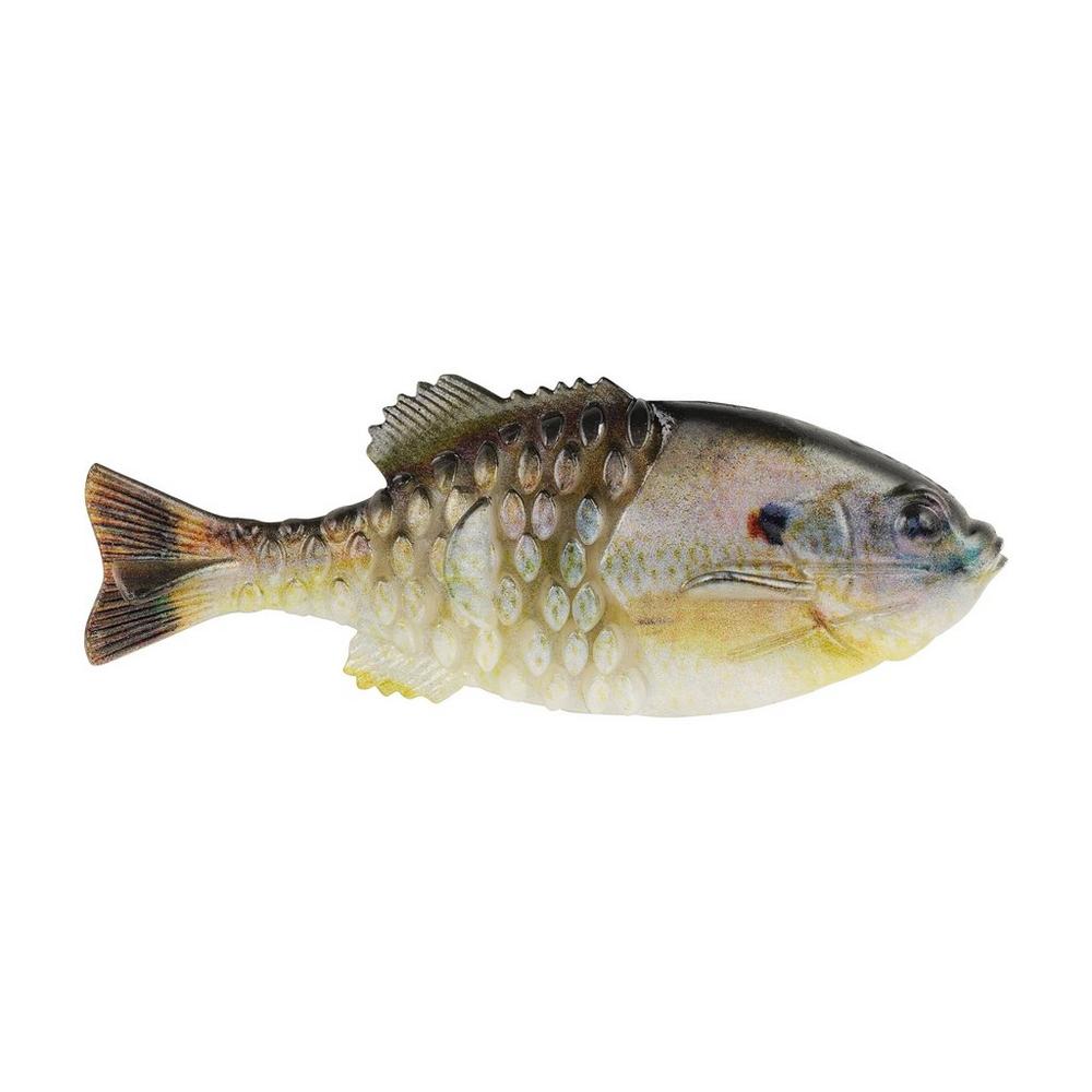 BERKLEY POWERBAIT GILLY - Copperstate Tackle