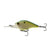 Pro Citrus Shad