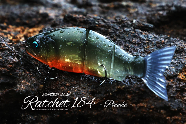 RatchetPiranha_1024x1024_7fac5 RatchetPiranha_1024x1024_7fac5
